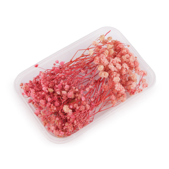 Voalul miresei uscat/stabilizat pentru aranjamente florale - Verde deschis (4 Cutii) Voalul miresei uscat/stabilizat pentru aranjamente florale - Verde deschis (4 Cutii)