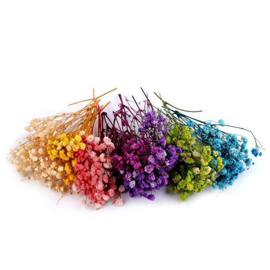 Voalul miresei uscat/stabilizat pentru aranjamente florale - Verde deschis (4 Cutii) Voalul miresei uscat/stabilizat pentru aranjamente florale - Verde deschis (4 Cutii)