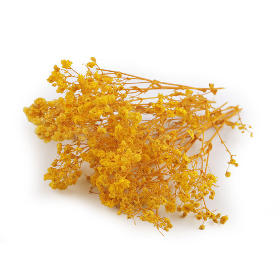 Voalul miresei uscat/stabilizat pentru aranjamente florale - Verde deschis (4 Cutii) Voalul miresei uscat/stabilizat pentru aranjamente florale - Verde deschis (4 Cutii)