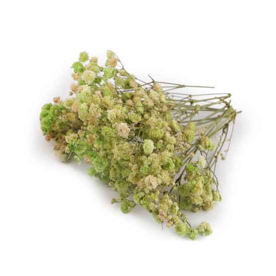 Voalul miresei uscat/stabilizat pentru aranjamente florale - Verde deschis (4 Cutii) Voalul miresei uscat/stabilizat pentru aranjamente florale - Verde deschis (4 Cutii)