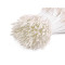 Pistile de flori - Crem deschis (1 Buchet)