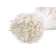 Pistile de flori - Roz deschis (20 Buchete)