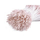 Pistile de flori - Roz deschis (20 Buchete)