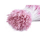 Pistile de flori - Roz deschis (20 Buchete)