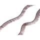 Gene decorative - Negru (10 Saci) Gene decorative - Negru (10 Saci)