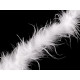 Boa - pene de strut 21-24 g lungime 1,8 m - Alb (1 Bucată)