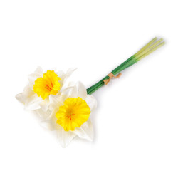 Buchet narcise artificiale de 3 buc - Galben pal (1 Buchet)