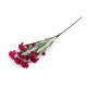 Buchet artificial de garoafe mini - Crem foarte deschis (5 Bucăți)