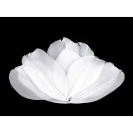 Pene decorative de gâscă, lungime 5-7 cm (pachet 10 buc.) - alb