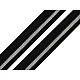 Elastic bias la metru, lățime 20 mm - negru - argintiu Elastic bias la metru, lățime 20 mm - negru - argintiu