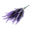 Buchet de levănțică, violet