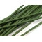 Sârmă flori, Ø2,5 mm, lungime 40 cm, verde ferigă, 20 buc.