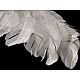 Aripi înger, 35x45 cm - Alb (1 Bucată)