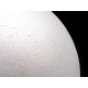 Bile polistiren, ø20 cm - Alb (1 Bucată)