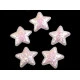 Steluțe decorative cu paiete, ø35 mm - Negru (100 Bucăți) Steluțe decorative cu paiete, ø35 mm - Negru (100 Bucăți)