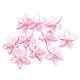 Mărgele floare, ø25 mm - Roz leandru (800 Bucăți)