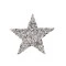 Aplicație termoadezivă - stea cu strasuri - Argintiu (1 Bucată)