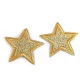 Aplicație termoadezivă - stea cu paiete - Argintiu (10 Bucăți)