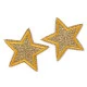 Aplicație termoadezivă - stea cu paiete - Argintiu (10 Bucăți)