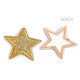 Aplicație termoadezivă - stea cu paiete - Argintiu (10 Bucăți)