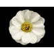 Flori de măceș, ø5 cm - Roz deschis (175 Bucăți) Flori de măceș, ø5 cm - Roz deschis (175 Bucăți)