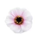 Flori de măceș, ø5 cm - Roz deschis (175 Bucăți) Flori de măceș, ø5 cm - Roz deschis (175 Bucăți)