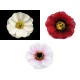 Flori de măceș, ø5 cm - Roz deschis (175 Bucăți) Flori de măceș, ø5 cm - Roz deschis (175 Bucăți)