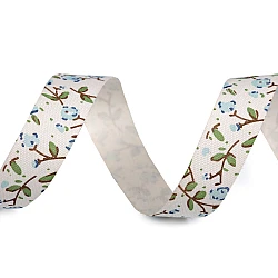 Panglica de bumbac latime 15 mm - Ecru deschis (5 Metri)