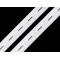Elastic cu butoniere, lățime 20 mm - Alb (30 Metri)