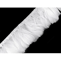 Bandă din pene de gâscă  6-8 cm - Alb (1 Metru)