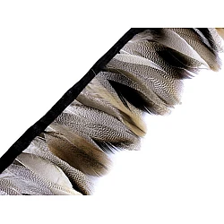 Bandă din pene de rață  6-8 cm - Natural (1 Metru)