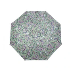 Mini umbrelă pliabilă pentru femei - Verde (1 Bucată)