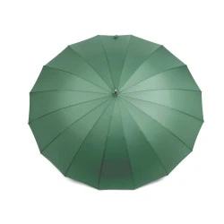 Umbrelă automata pentru femei - Verde glacial (1 Bucată)