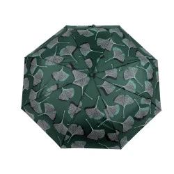 Umbrelă pliabilă  pentru femei - Verde închis (1 Bucată)