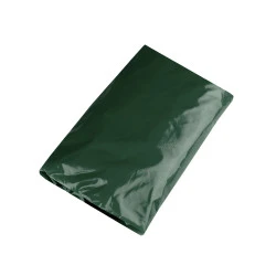 Pelerină ploaie adulți - Verde mușchi (1 Bucată)