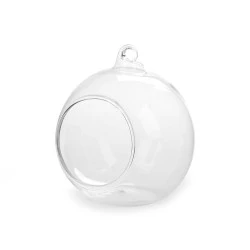 Terariu glob de sticlă, ø8 cm - Transparent (1 Bucată)