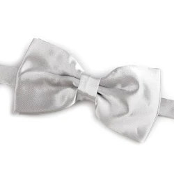 Papion satinat party - Argintiu (1 Bucată)