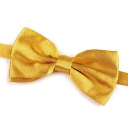 Papion satinat party - Auriu (1 Bucată)