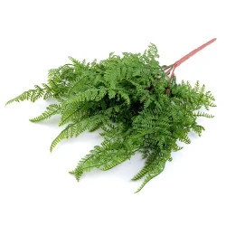 Ferigă artificială aranjamente florale cal a 2-a - Verde ferigă (1 Buchet)