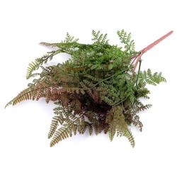 Ferigă artificială aranjamente florale cal a 2-a - Verde (1 Buchet)