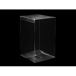 Cutie de plastic - Transparent (5 Bucăți)