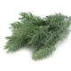 Crenguță de conifere artificiale - Verde (1 Bucată)
