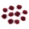 Aplicatie pompon din blană ø3 cm - Bordo deschis (10 Bucăți)