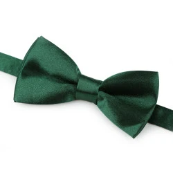 Papion mic din satin în cutie - Verde brad (1 Bucată)