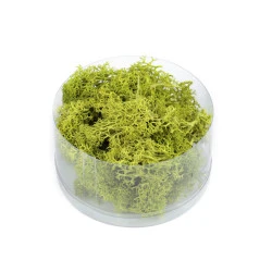 Mușchi prezervat 20 g la cutie - Verde deschis (1 Bucată)