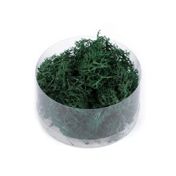 Mușchi prezervat 20 g la cutie - Verde închis (1 Bucată)