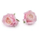 Floare de trandafir artificiala ø5 cm - Crem deschis (10 Bucăți)