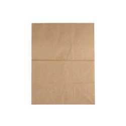 Pungă de hârtie - Maro natural (50 Bucăți)