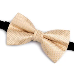 Papion dublu in cutie - Bej deschis (1 Bucată)