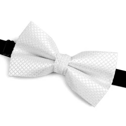 Papion dublu in cutie - Alb (1 Bucată)